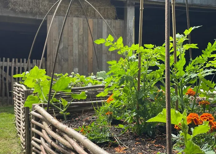 Tatil Evi -les Petites Planches- Familial Entre Terre &